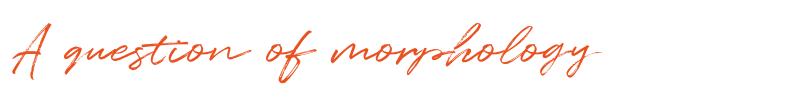 A question of body type